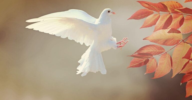 Graça em Plumas: Símbolo da Pomba na Bíblia